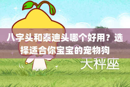 八字头和泰迪头哪个好用？选择适合你宝宝的宠物狗