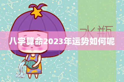 八字算命2023年运势如何呢