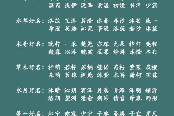 木命之人适合的名字：带“林”、“树”、“芳”的意义与影响