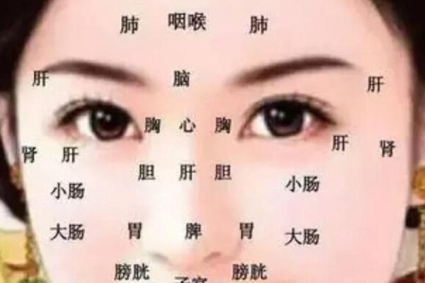 眉毛稀疏粗女性的命运解析：命运与外貌之间的微妙联系