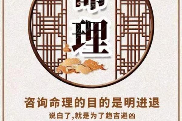 木命与土命属相揭秘：探索五行之美与命运的交错