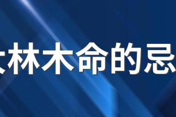 木命五行分析：缺失的属性与人生的平衡之道