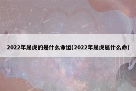 明星生肖命：解密娱乐圈中的生肖魅力与命运之谜