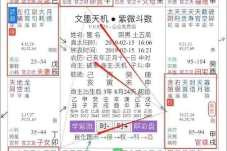 208位命理解析：揭开命运的神秘面纱，了解你的命理运势