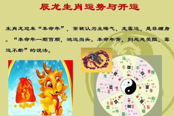 龙年五行属性解析：解读你的命运与性格特征