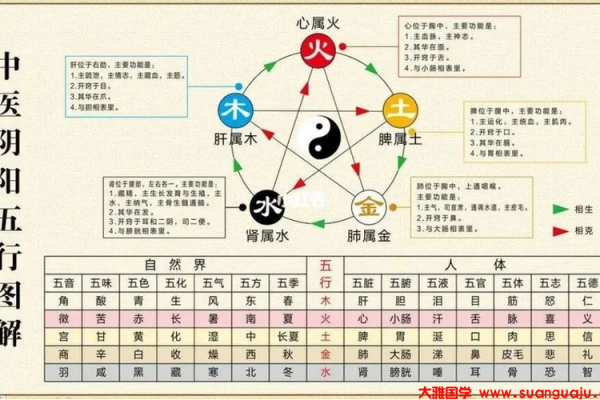 名字带一字五行解析：如何解读你的命格和命运？