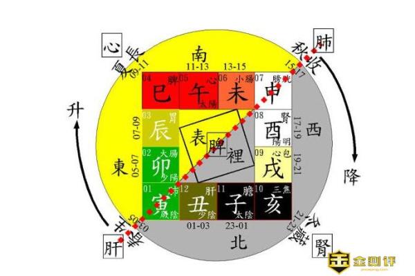 卯时五点三十分的命运解析：解读生肖与命理的奥秘