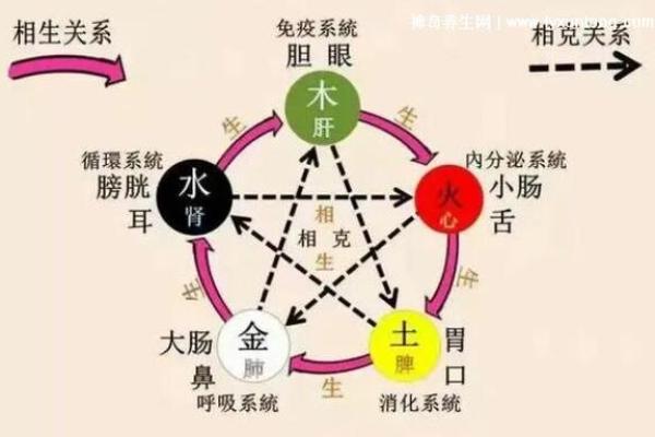 炉中火命与其他命格的相生相克关系探讨