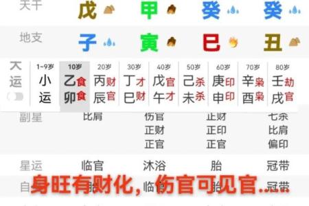 男命伤官见官的深刻解析与影响