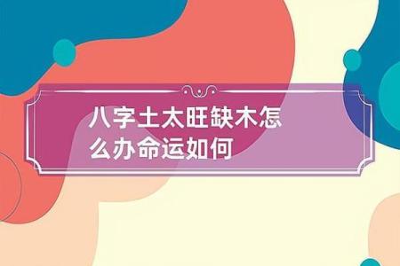 木命与土命：楼层选择的奥秘揭示