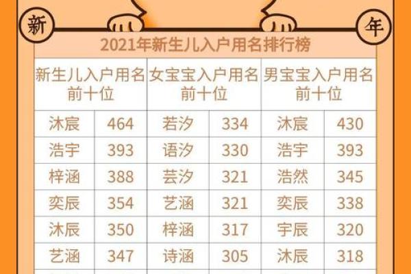 男孩子出生在什么生肖命运更佳？深度解析与建议