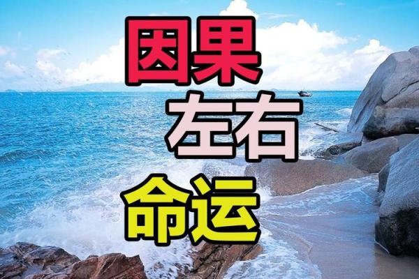 命运之网：为什么我们无法改变命格的真相