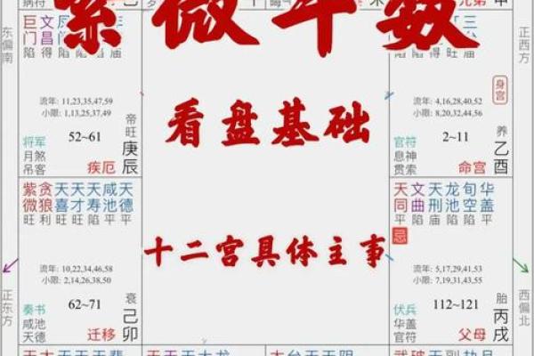 男命壬午年八字解析：如何选择最佳命盘与运势提升策略