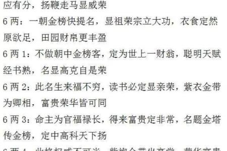 六两男命：命理解读与人生启示