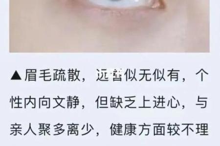 男人的眉毛与命运：眉毛形状揭示的秘密