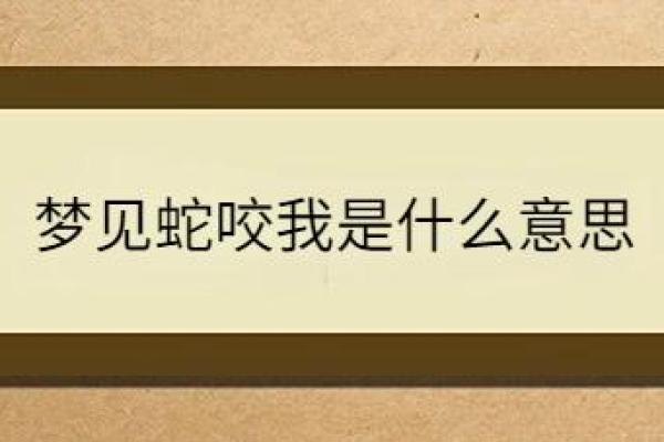 梦见自己是菩萨命：寻梦之旅与内心觉醒的启示