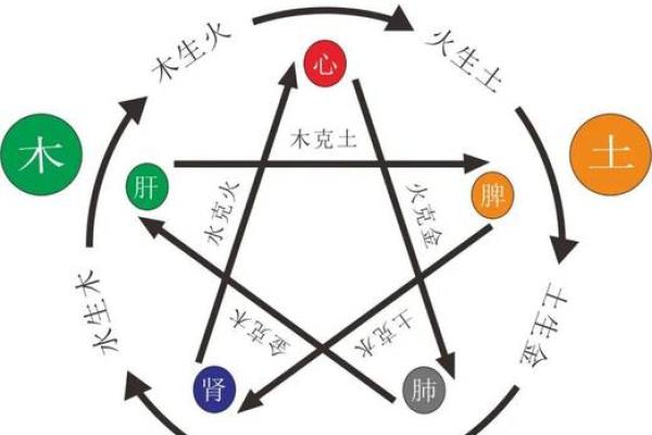 刘亦菲的名字解析：探讨她的五行属性与命理魅力