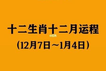 解读旧历六月生肖命理：发现你与生俱来的独特性格与命运