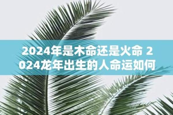 没有火的命是什么命？解读命理中的火元素缺失之象