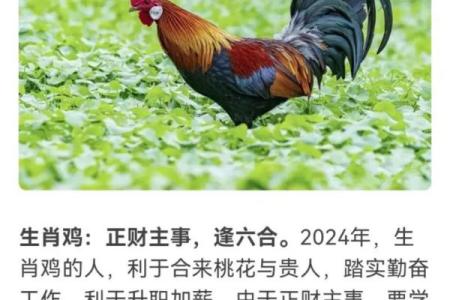 2023年龙年运势分析：哪些命格在这一年最具优势？