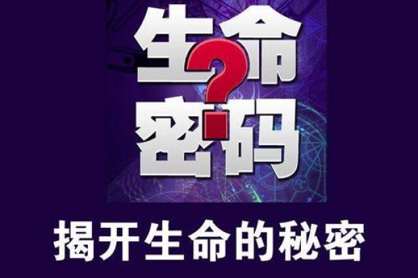 命字的右边的深意：揭示人生的秘密与智慧