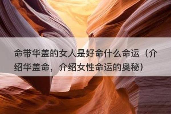 老子的八字命理：探寻命运的奥秘与人生的智慧