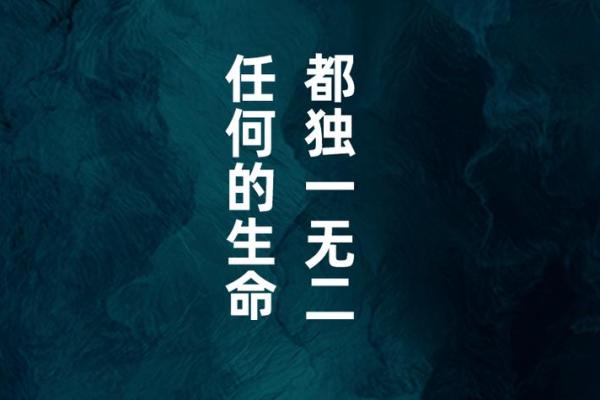 没了命还能干什么？当生命的意义被重新定义