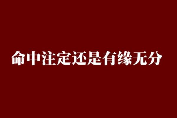 《探寻命运之谜：是命中注定还是难以置信？》