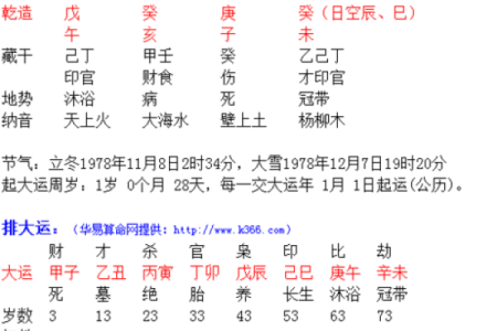 2004年出生的人的命运与性格特征探秘