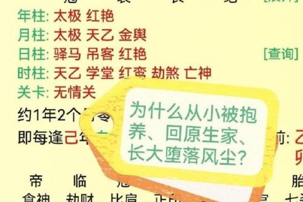 命理中伤官配印的深刻含义与人生启示