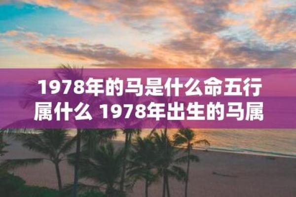 明年出生男孩的命运揭秘：生肖与五行的相互影响