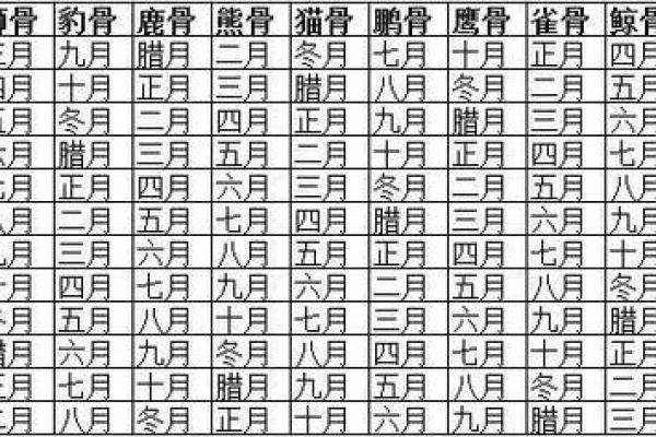 凌晨一点出生的人生命运解析：揭示命理的神秘面纱