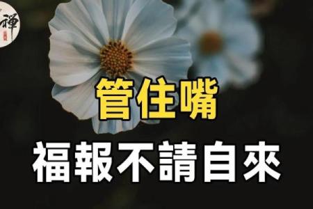 探寻命运的深意：什么是“命不怎么好”？