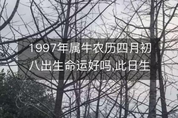 揭秘农历生日：你究竟是什么命？