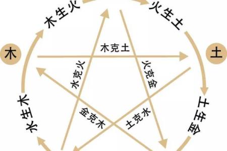 木命人与五行相克关系探究：如何选择合适的伙伴与避开冲突