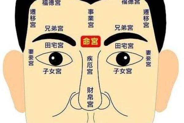 眉骨凸起的男人：命运如何在脸相中显现？