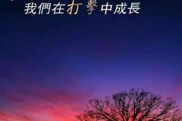 李龙命理揭秘：01年出生的他将如何应对人生挑战与机遇