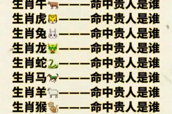 六月属虎五行解析：探索你的命理秘密与人生方向