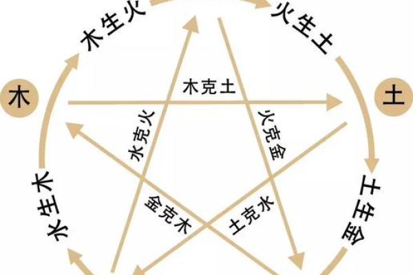 六九年鸡的命理与五行解析：穿越时光的智慧与命运的交响