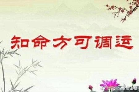 揭开命理之谜：为什么阴阳之道决定我们的命运