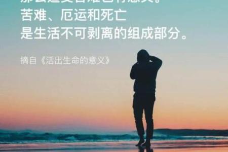 探寻生命的意义：在无常中活出精彩人生