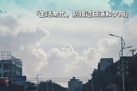 探寻内心的宁静：生活中的小确幸与幸福感