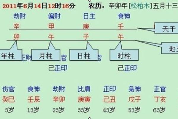 命理中的阴阳之道：探秘男女命时的深刻寓意