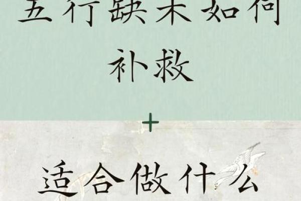 木命取名必备：与木相关的字选择与命名技巧解析