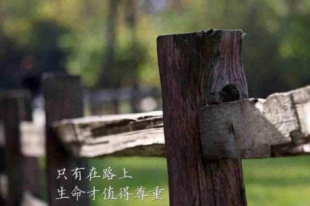 名声的重要性：为什么有时名声比生命更值得追求？