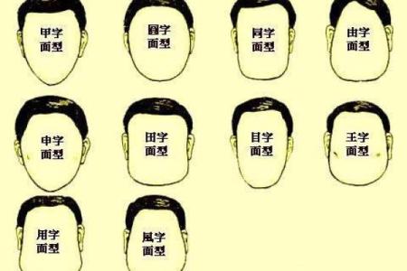 1987年出生的人命运揭秘：探索他们的性格与人生轨迹