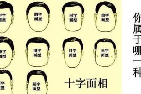 脸长的男人命运解读：从面相看人生机遇与挑战