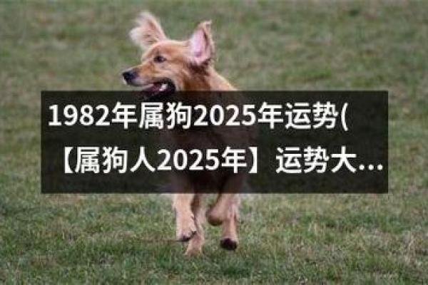 1994年出生的属狗人命运解析：性格、事业与爱情全揭秘