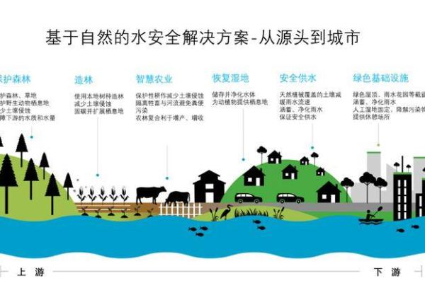 路旁土命与水的和谐：如何选择最适合的水源？