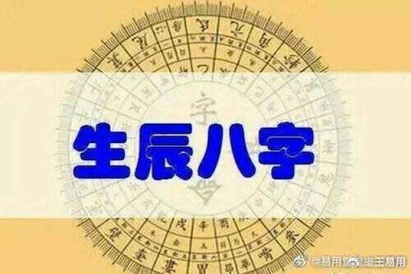 解析木多女命的职业选择与生活方式推荐